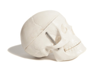 Human skull model isolated on white background