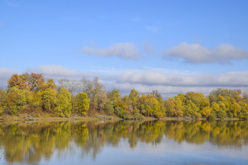 Fototapeta na wymiar Autumn landscape. River and river bank with yellow trees. Willow and poplar on the river bank.