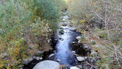 Mountain stream