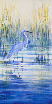 Blue heron on the lake shore at sunset.Picture created with watercolors