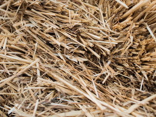 Close up straw texture