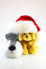 plush toy dogs isolated on white background. This has clipping path.