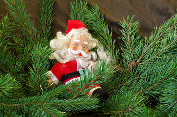 Santa  on the background of coniferous branches