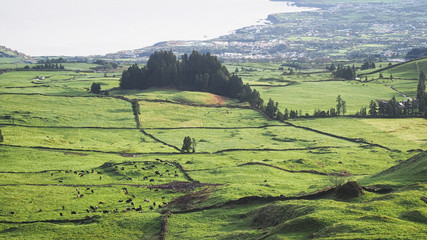 It's like a fairytale. Sao Miguel Island, Azores (Portugal) landscape.