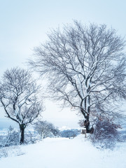 Fototapeta na wymiar Verschneiter Weg zum Dorf im Winter