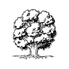 Obraz premium Tree 