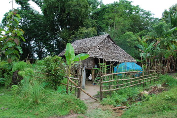 Fototapeta na wymiar Maison birmane typique