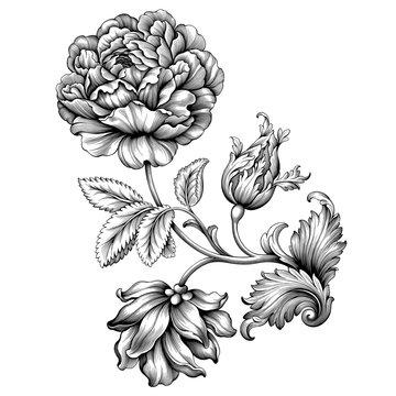 Rose flower vintage Baroque Victorian frame border floral ornament leaf scroll engraved retro pattern decorative design tattoo black and white filigree calligraphic vector 