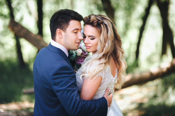 The bride and groom tenderly embrace. Wedding walk in nature.