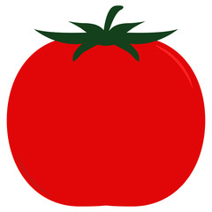 tomato simple illustrations vector design