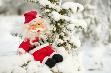 toy Santa Claus sitting on snow covered branches of the juniper