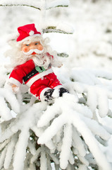 toy Santa Claus sitting on snowy spruce branches