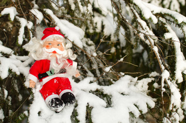 toy Santa Claus sitting on snowy spruce branches