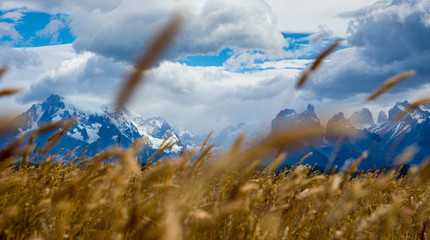 Torres del Paine. Chile, Patagonia