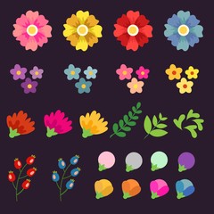 flower set illustration