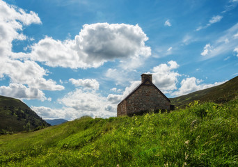 Cairngorms National Park Glenmore Forest Park United Kingdom