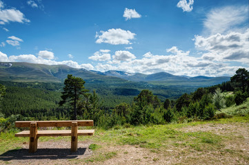 Cairngorms National Park Glenmore Forest Park United Kingdom