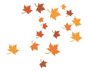autumn leaf icon vector design
