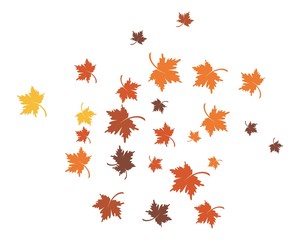 autumn leaf icon vector design