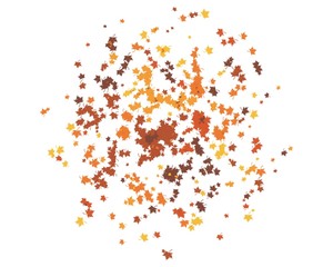 autumn leaf icon vector design