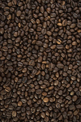 Roasted arabica coffee beans background