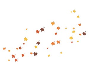 oak leaf icon vector design