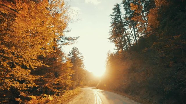 Autumn Drive On Mountain Forest Chasing The Setting Sun
