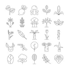 Tree and plant icons set.