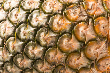 Fototapeta premium Pineapple skin