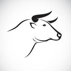 Vector of bull head design on white background, Animal.