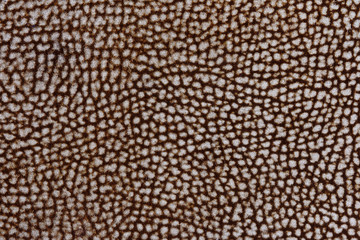 Brown Fabric Texture Background, Imitate Animal Skin as Tiger or Snake