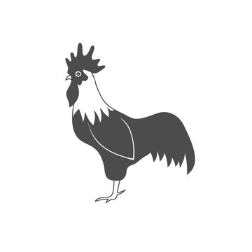 Hand Drawn Rooster isolated on white background. Vector