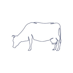 Hand Drawn Cow Isolated on White background. Vector