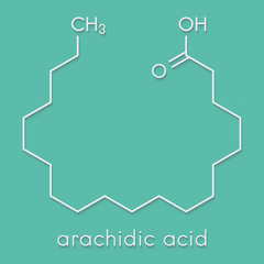Obraz premium Arachidic (eicosanoic) acid molecule. Saturated fatty acid. Skeletal formula.