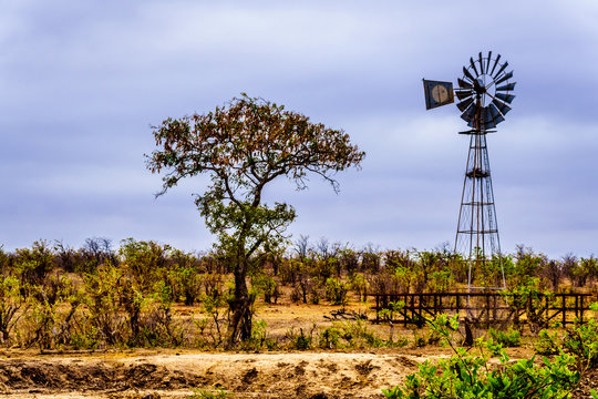 Windmill at a watering hole in the drought stricken northern part of Kruger National Park in South Africa