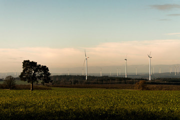 Green environment tree panorama view over wind farm landscape in Germany with white generator...