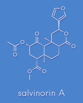 Salvinorin A entheogen molecule. Psychotropic molecule from Salvia divinorum. Skeletal formula.
