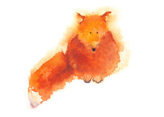 Little funny red fox. Watercolor illustration isolated on white. Original hand drawn painting.