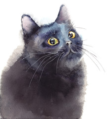 Black fluffy cat with golden eyes. Watercolor illustration isolated on white.