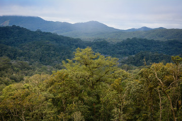 Fototapeta na wymiar Mountain scenery of Dalat, Vietnam