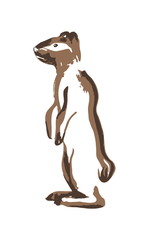Hand drawn meerkat or ground squirrel. Vector illustration painted by ink. Silhouettee on white background.