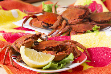 seafood, crabs with lettuce and lemon