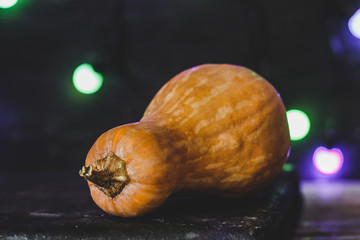 Pumpkin fruit on a dark background