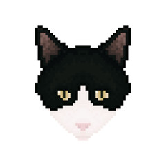 Cat head. Pixel art. Pet animal. Vector illustration.