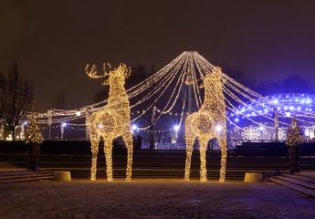 Gigantic reindeers christmas decoration made of led light