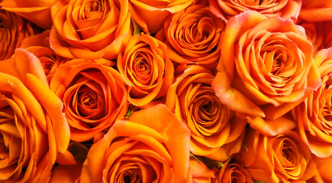 Beautiful orange roses bouquet background
