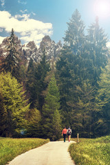 Fototapeta na wymiar sportive people walking in the mountain, healthy sport and recreation outdoor during summer time