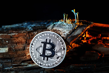 Coin Bitcoin in a mysterious landscape