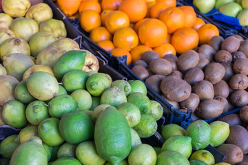 Fruits and vegetables at Porto market (Mercado do Bolhao). Portugal