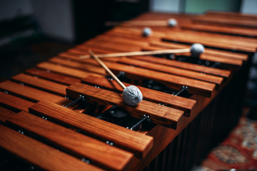 Xylophone closeup, wooden percussion instrument - obrazy, fototapety, plakaty